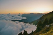 徒儿下山祸害你七个师姐去吧